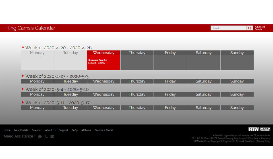 Technical Side of Protection