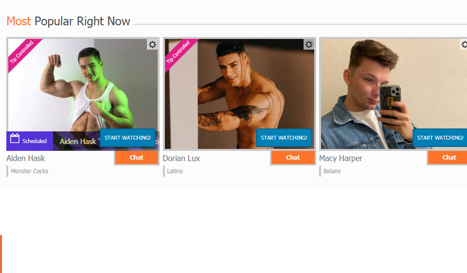 Adam4Adam Review 2020