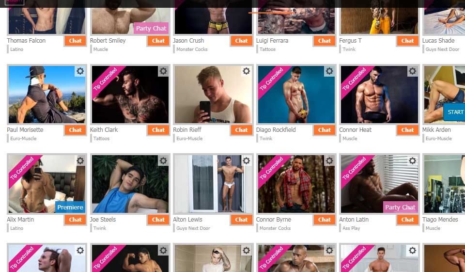 Adam4Adam Review 2020