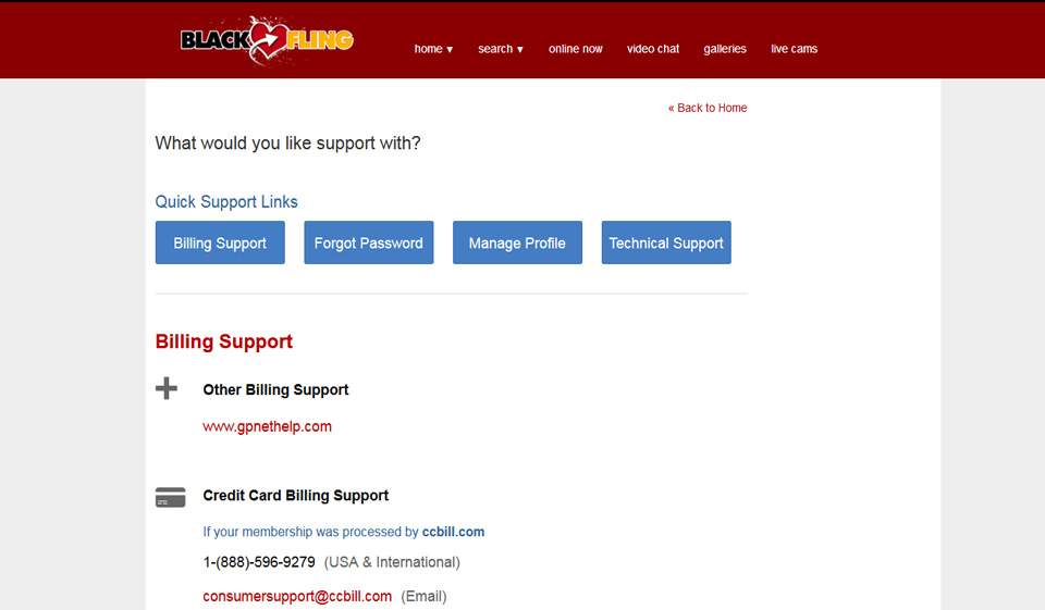 Black Fling Unterstützung