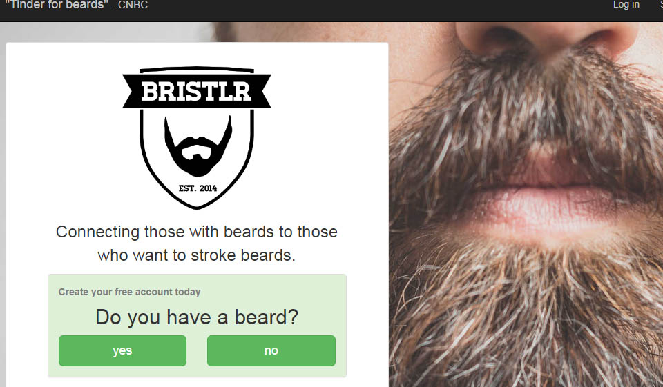 Bristlr Overview June 2025
