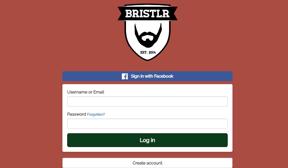 Bristlr Interface