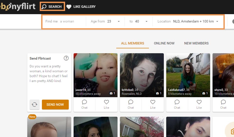 Searching Options and Filters at EbonyFlirt