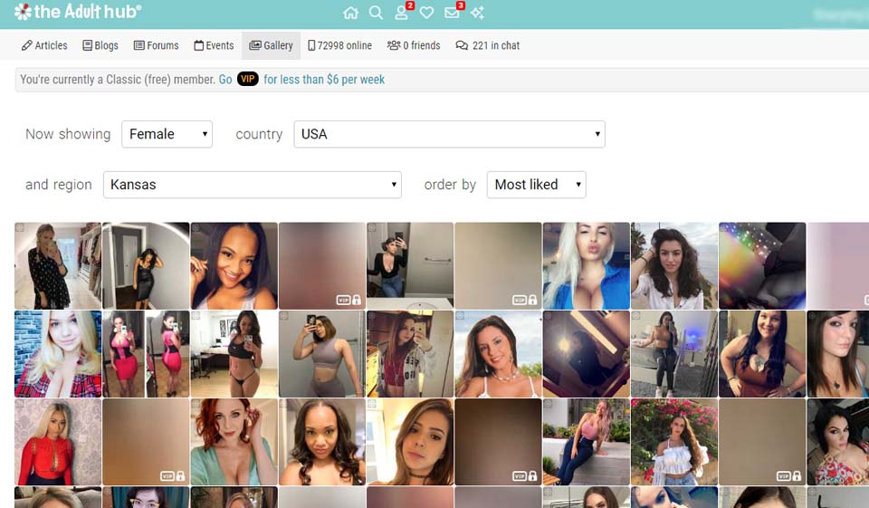 Caracteristicile Hubului pentru adulți