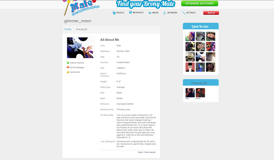 How Does BronyMate Work