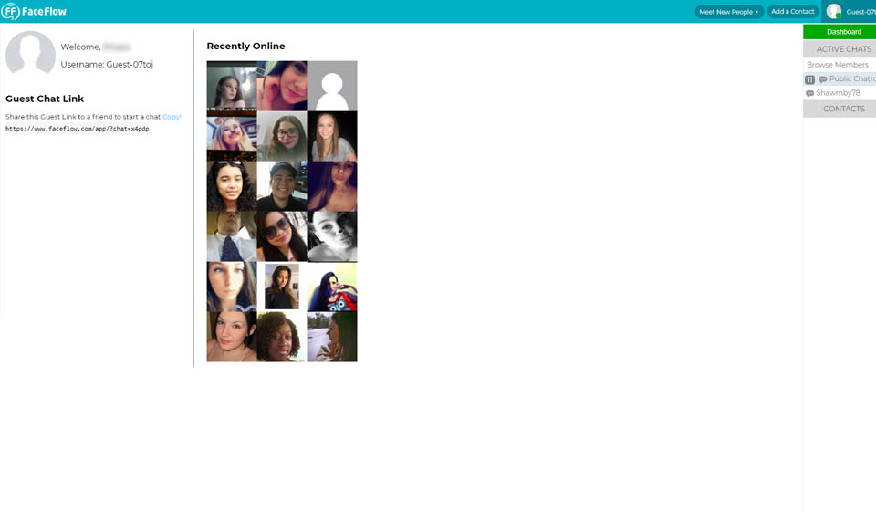 FaceFlow Review 2020