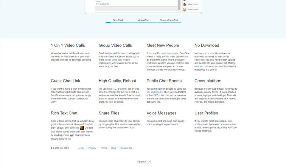 FaceFlow Review 2020
