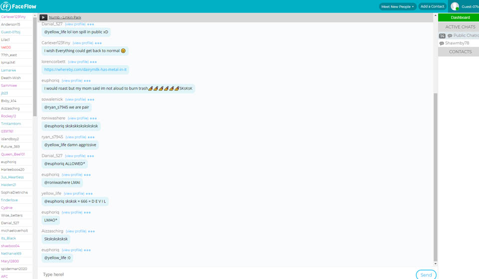 FaceFlow Review 2020