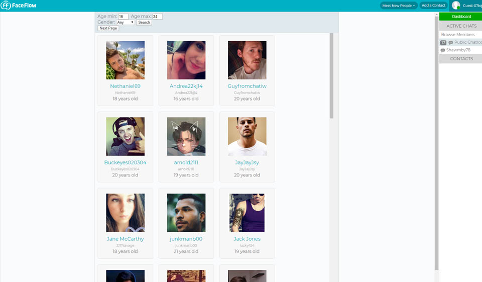 FaceFlow Review 2020