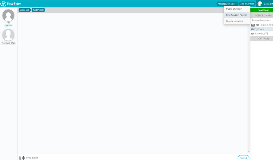 FaceFlow Review 2020