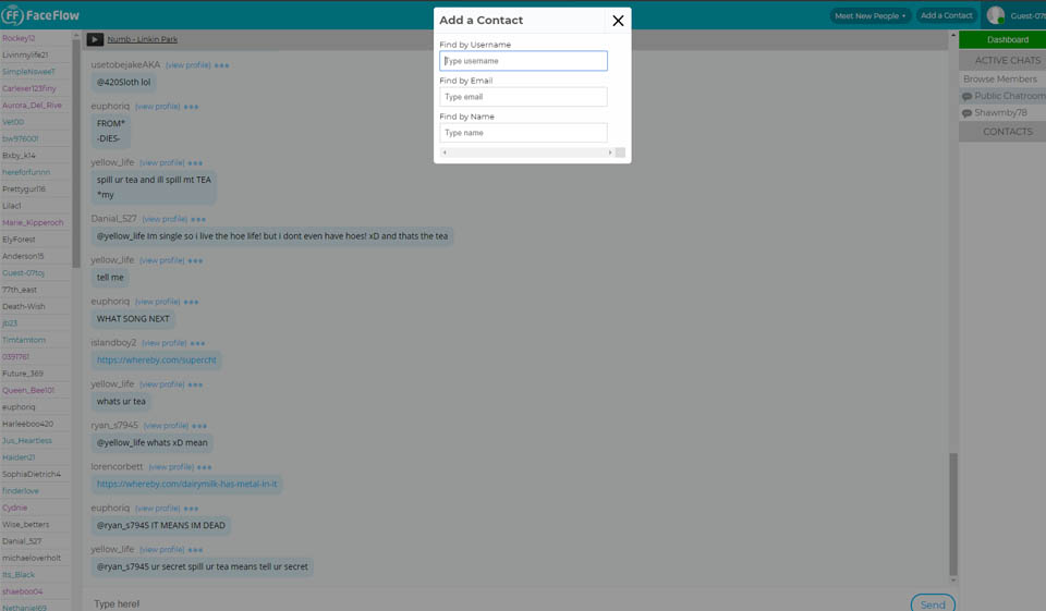 FaceFlow Review 2020