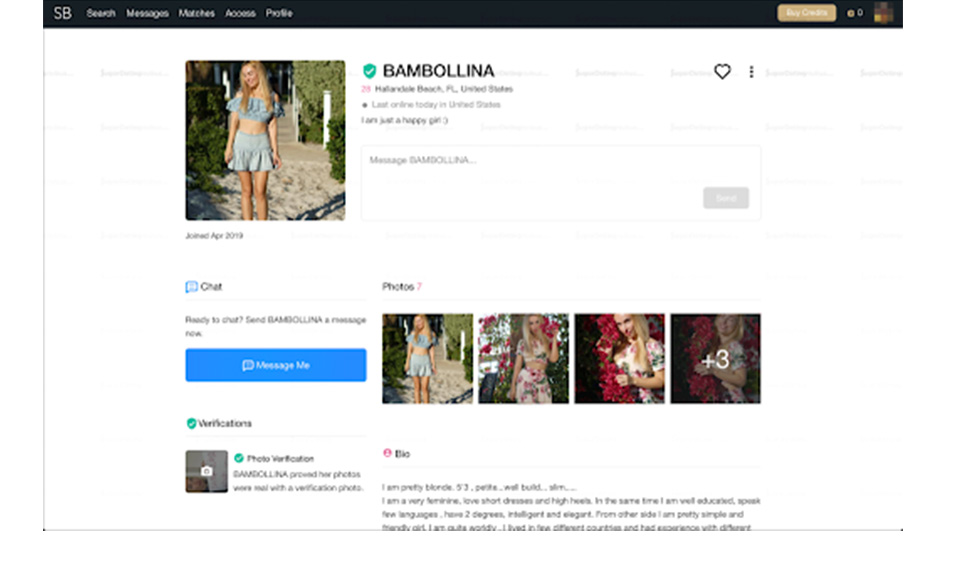 Gizli Fayda Maliyeti