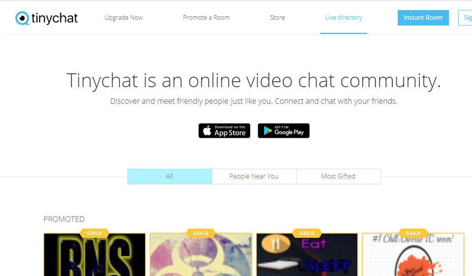 TinyChat Review June 2025: Legit or Fake?
