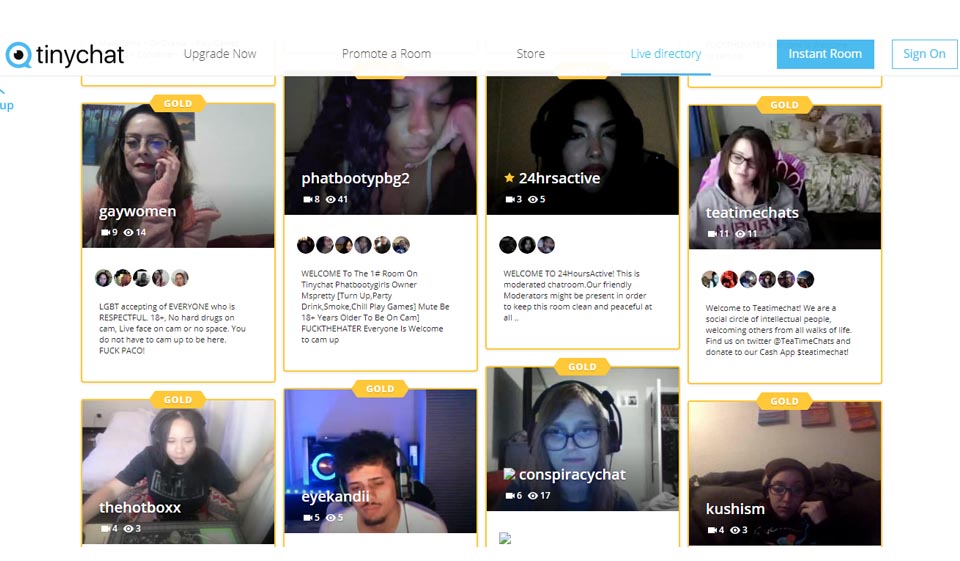 TinyChat Features