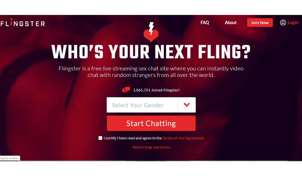 Flingster Review June 2025 – How Does It Work?