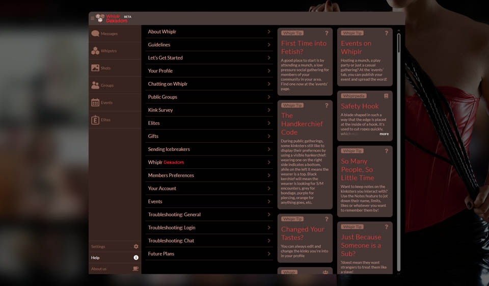 Is Whiplr Really Safe