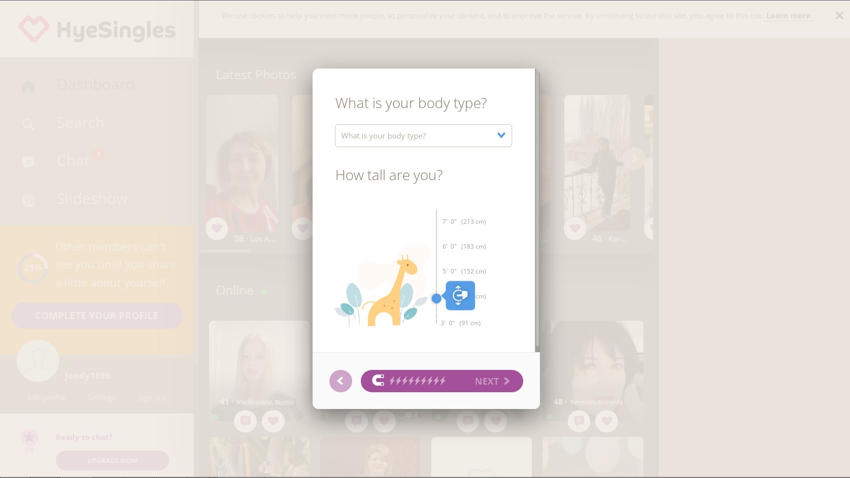 Reputation and History of HyeSingles