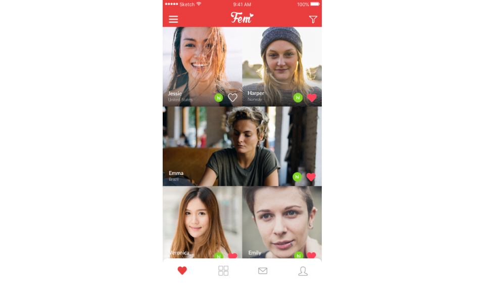 Reputation and History of Fem