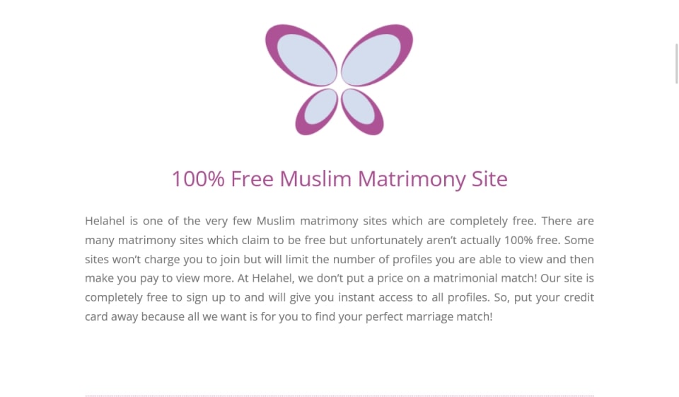 Popular user questions